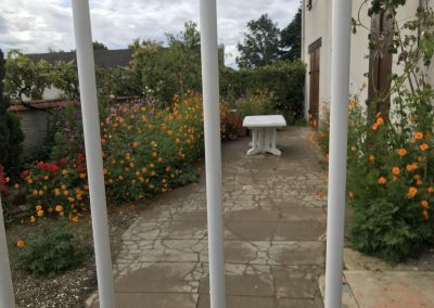 Through a garden gate