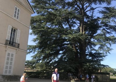 The 300 year old cedar with a younger Tom Fitzpatrick
