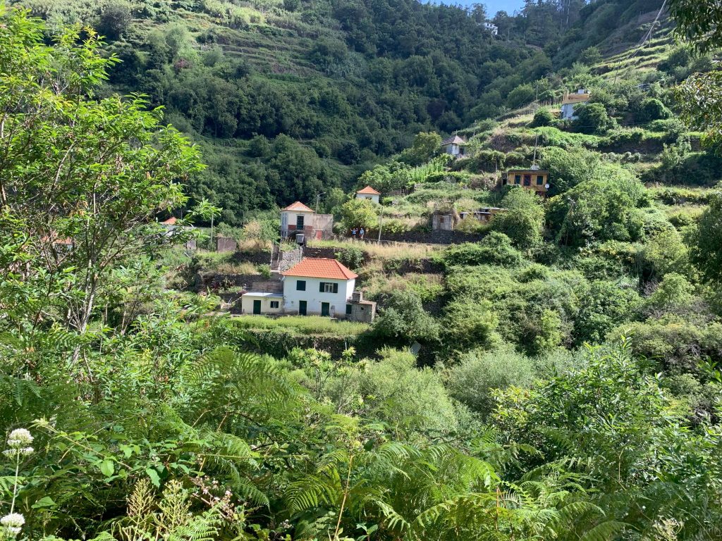 48. View from a levada
