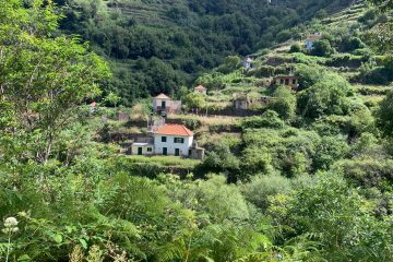48. View from a levada