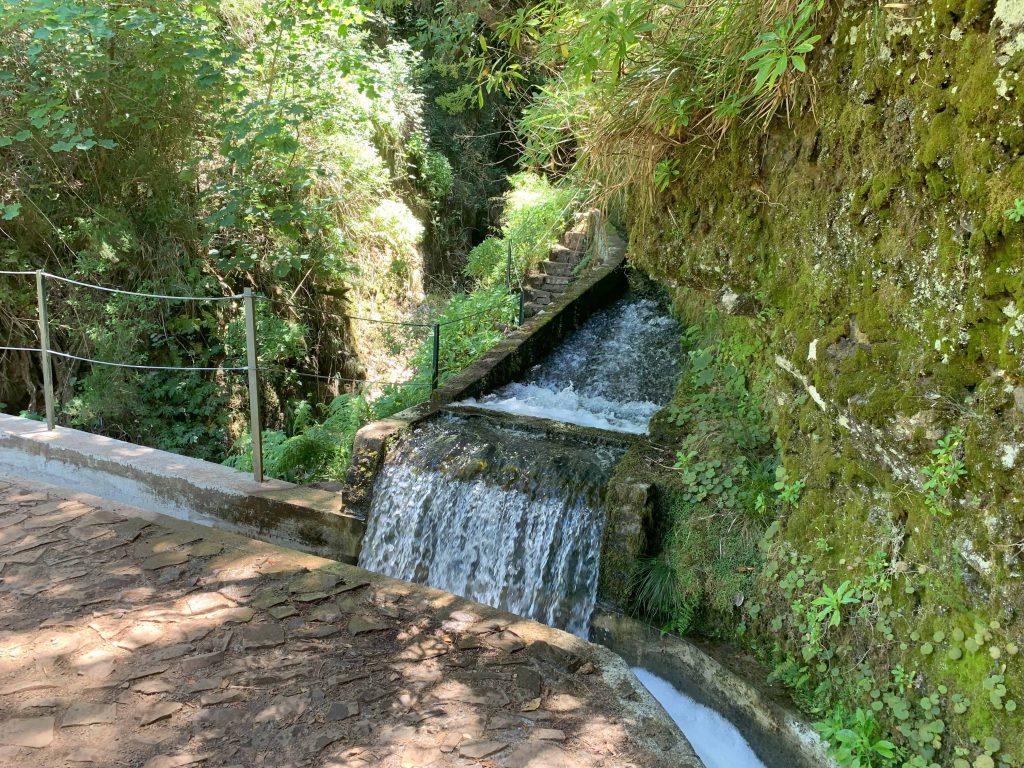 53. A junction on a levada