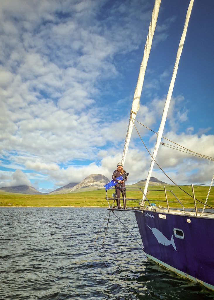 Anchored_Narwhal_Katherine_Knight_YM_BBMA