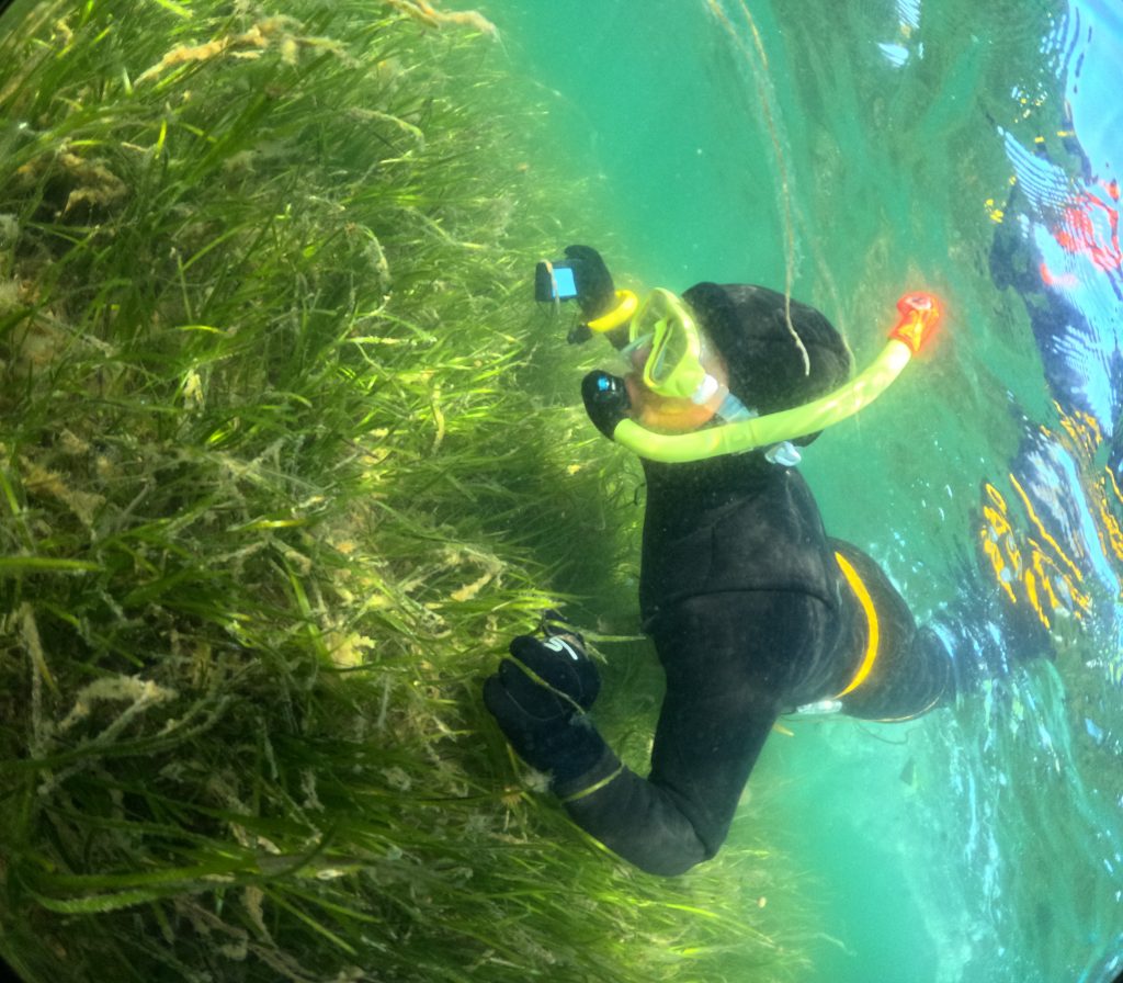 Sea_Grass_Katherine_Knight_YM_BBMA