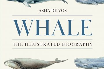 Whale adj