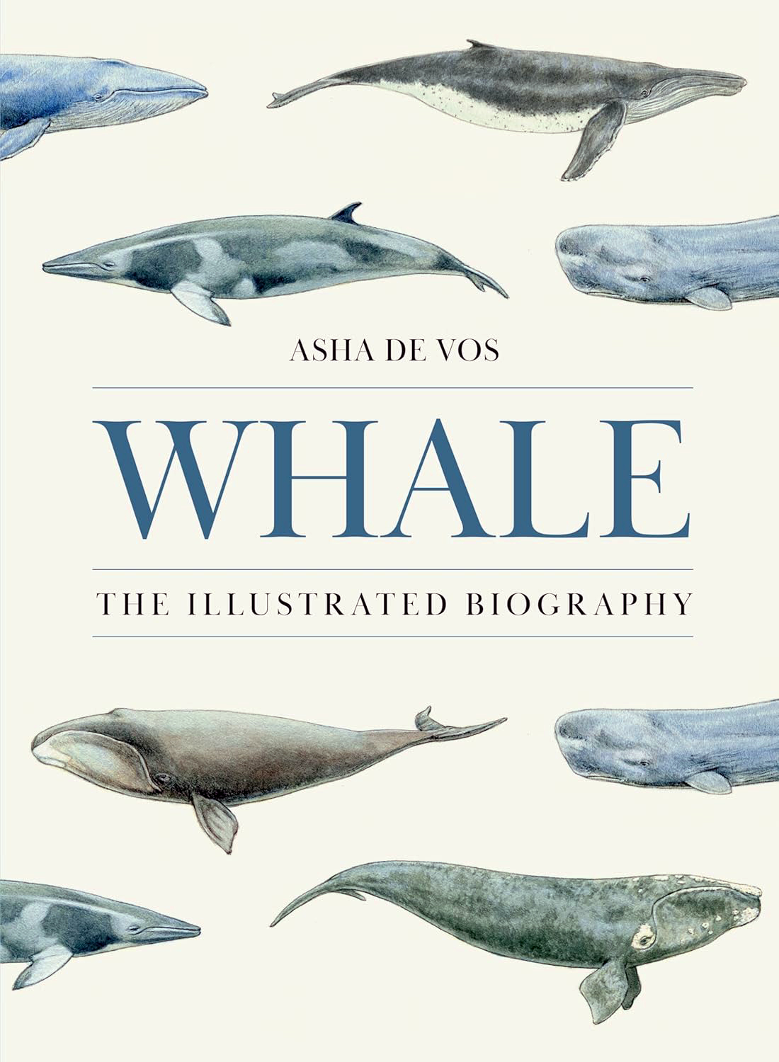 Whale adj