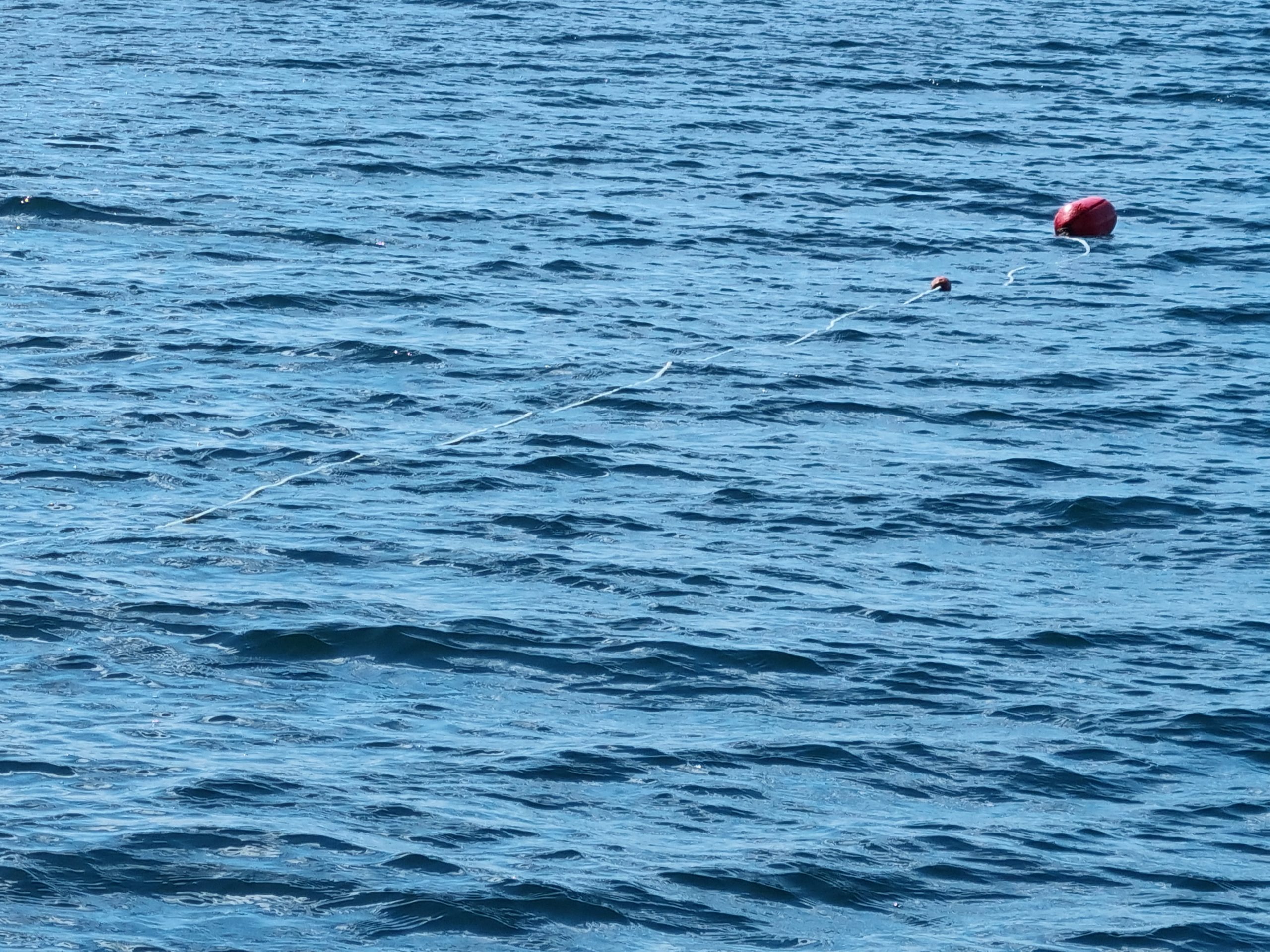 Floating pot marker rope as seen in Clew Bay