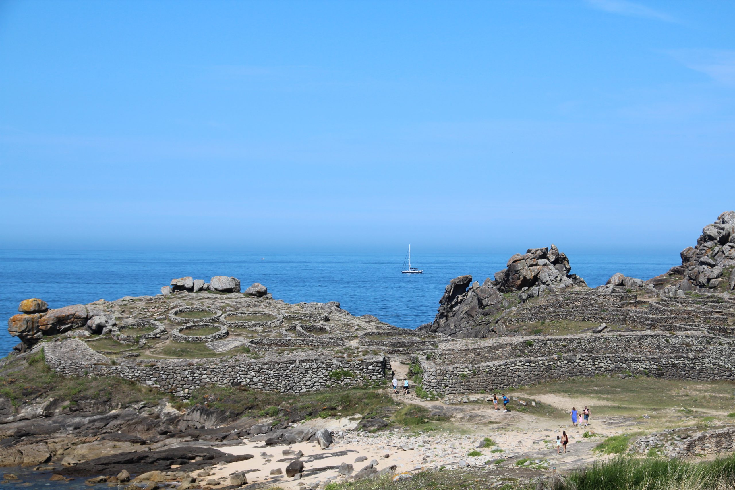 240717 Koala passing Castro de Barona IMG 6106