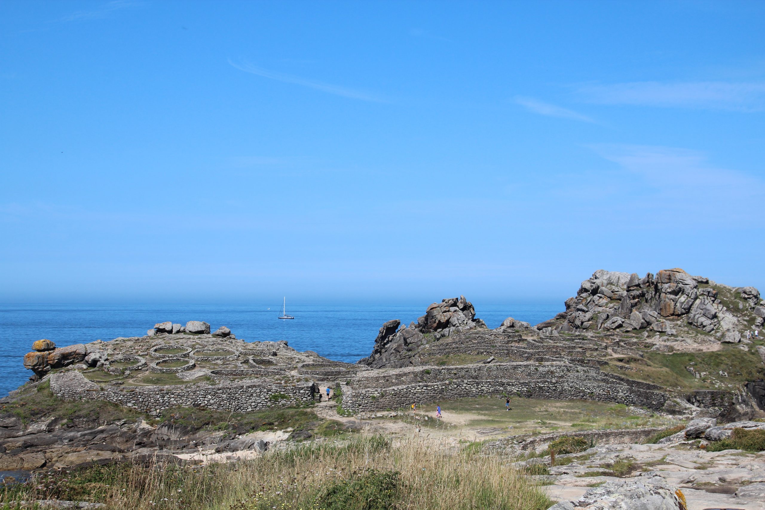 240717 Koala passing Castro de Barona IMG 6108