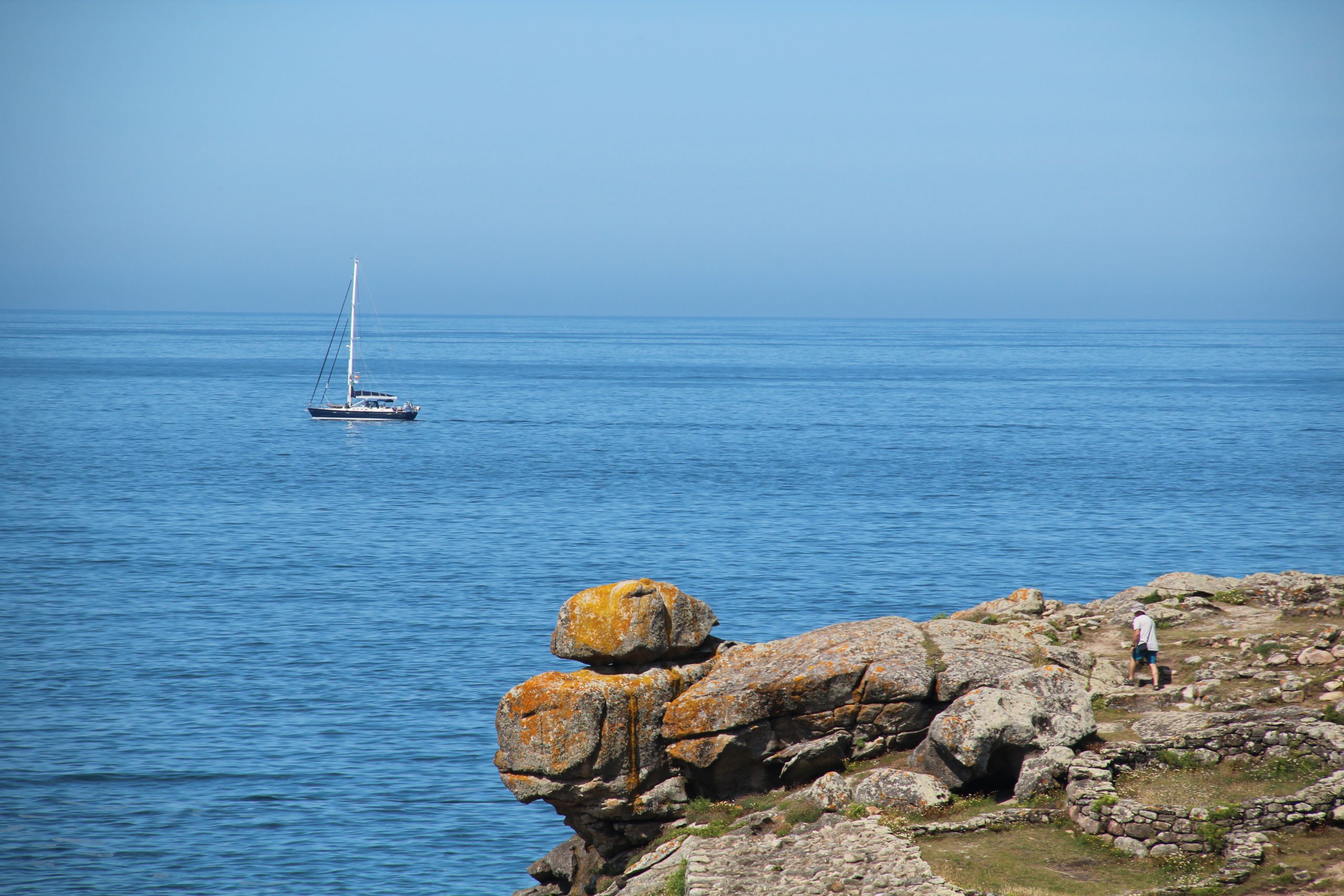 240717 Koala passing Castro de Barona IMG 6109